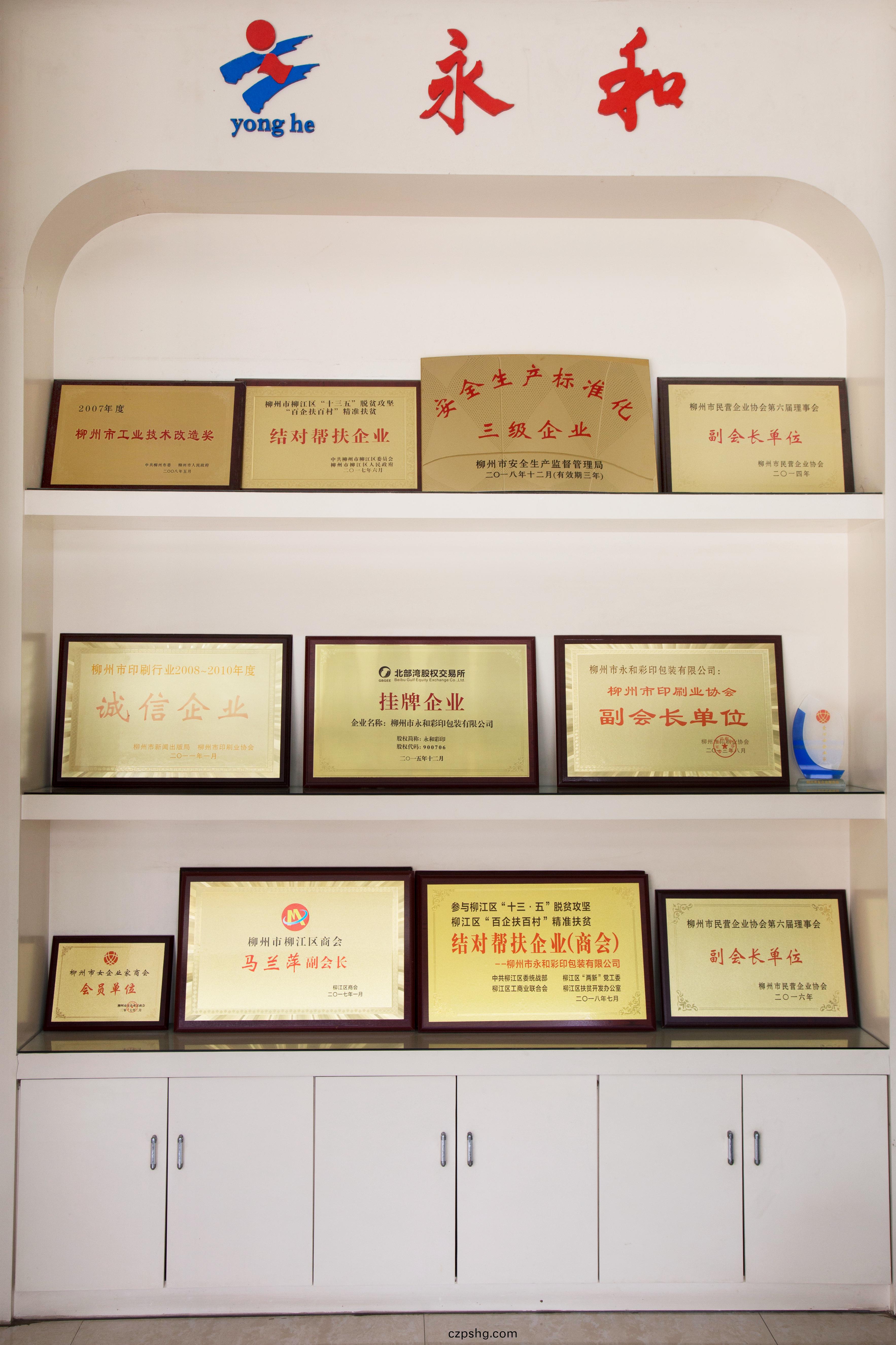 榮(rong)譽(yu)資(zi)質